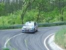 gal/Salgo-Gemer_Rally_2010/_thb_Salgo 310.jpg